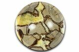 Eye-Eatching Polished Septarian Dish - Madagascar #371707-1